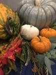 Country Club of Harrisburg Business Function 2018 (24)